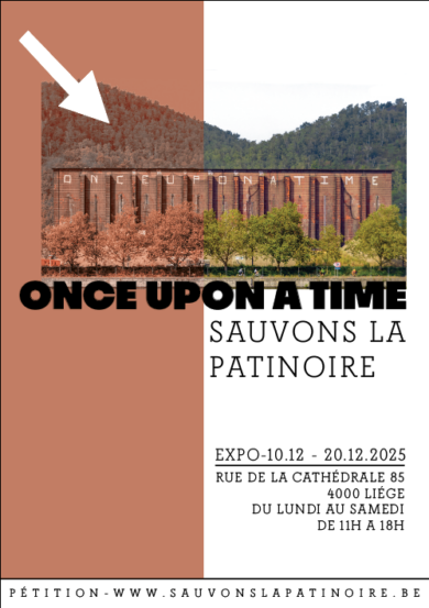 Aperçu - Sauvons la Patinoire / Expo + pétition